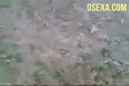 Узбекская худышка в футболке дрочит член парня в лесу